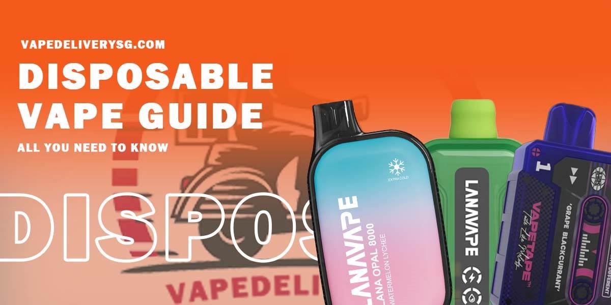 Disposable Vape Guide - Vape delivery sg -2